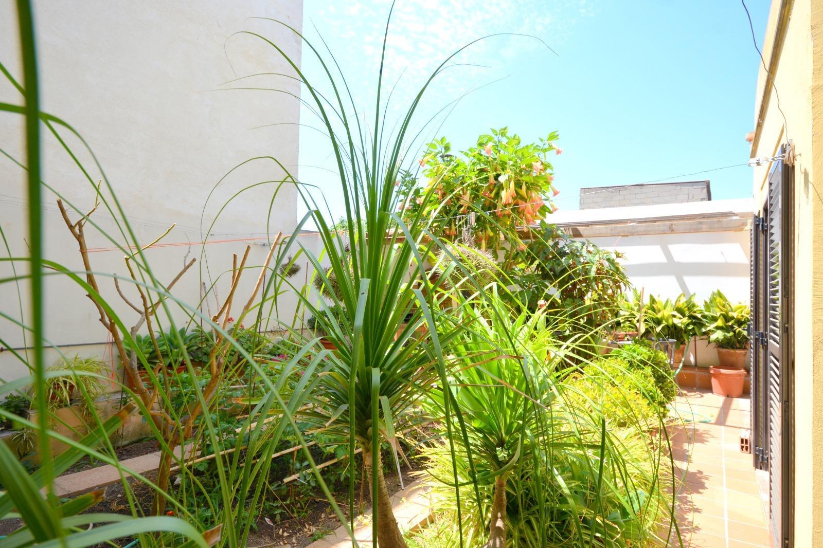 Piso en venta, Sineu, Baleares/Islas Baleares