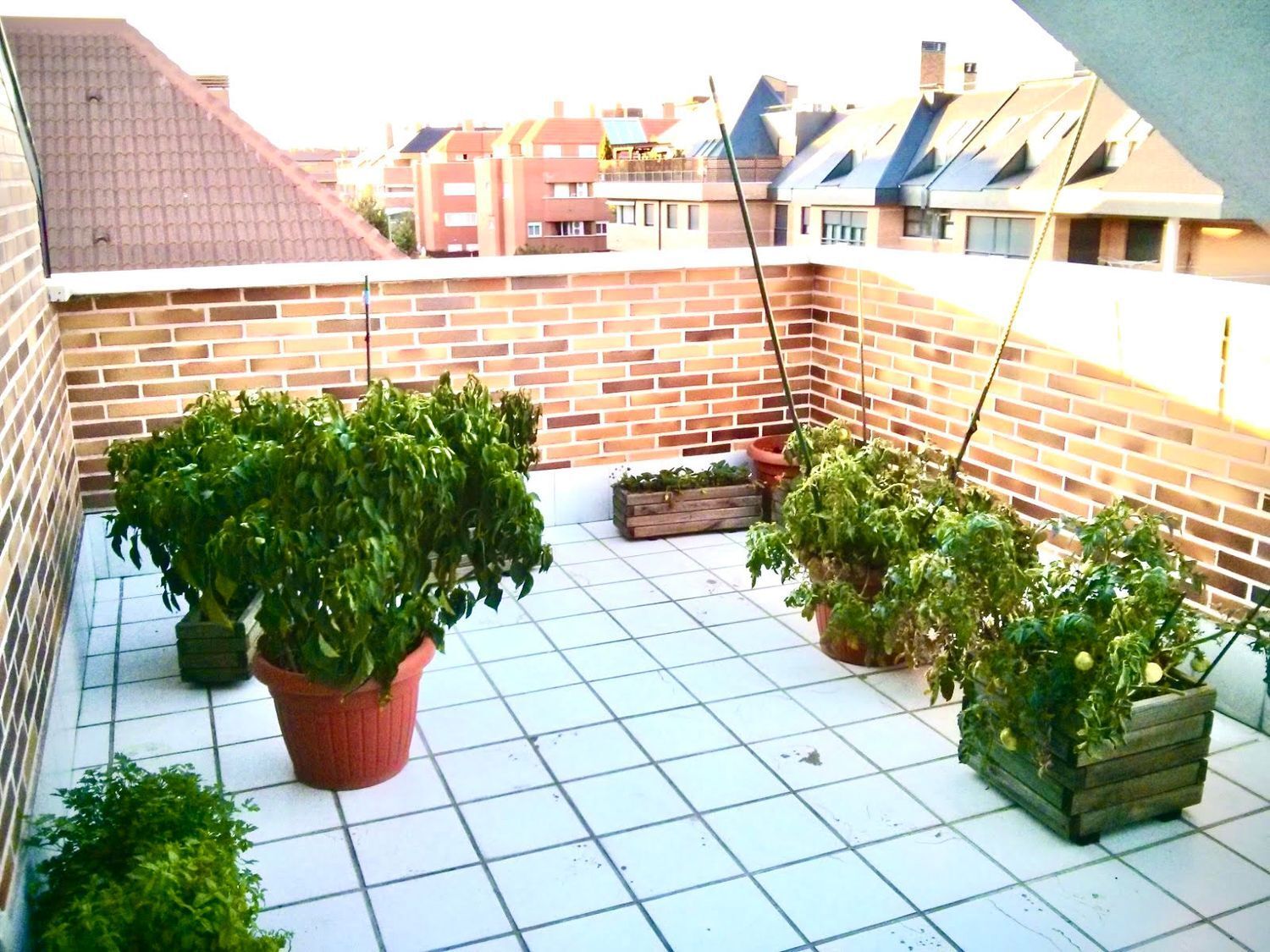 Piso en alquiler, Las Rozas de Madrid, Madrid, Madrid