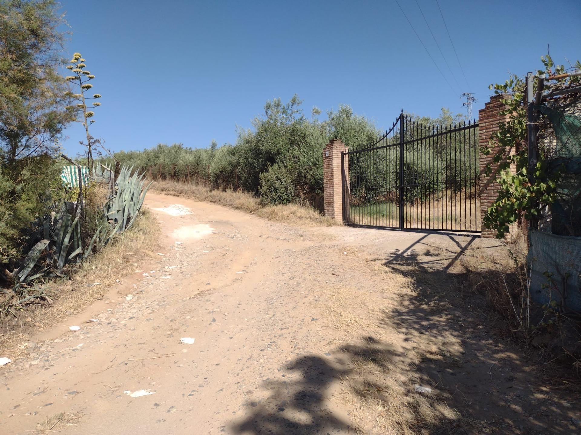 Chalet individual en venta, Cantillana, Sevilla, Sevilla