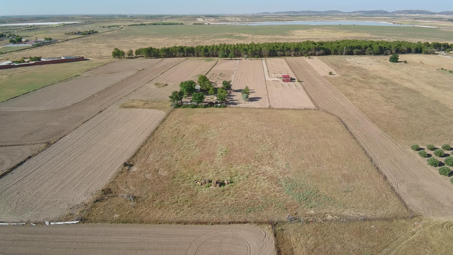 Suelo en venta, Lillo, Toledo, Toledo
