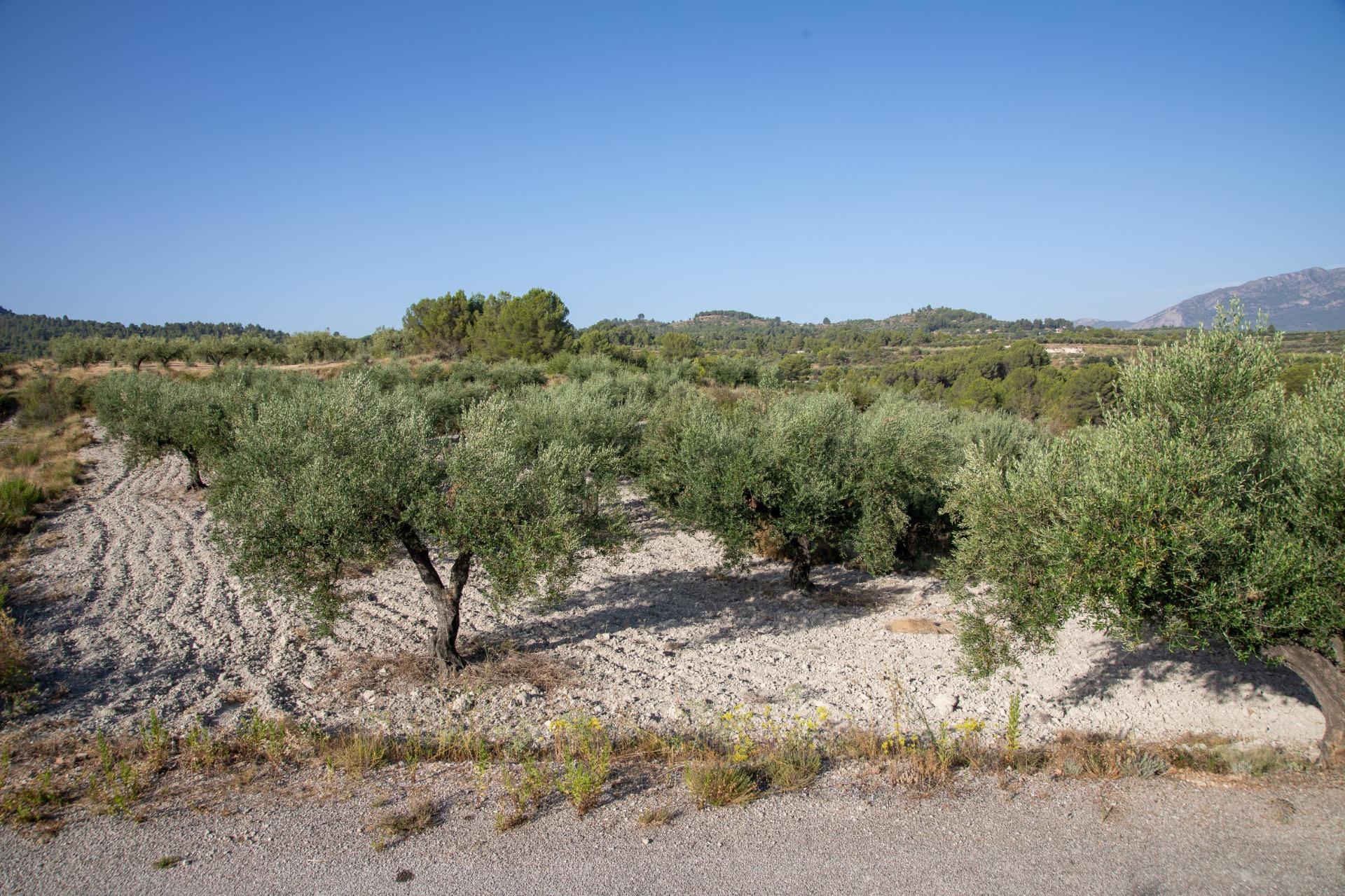Suelo en venta, Palma de Mallorca