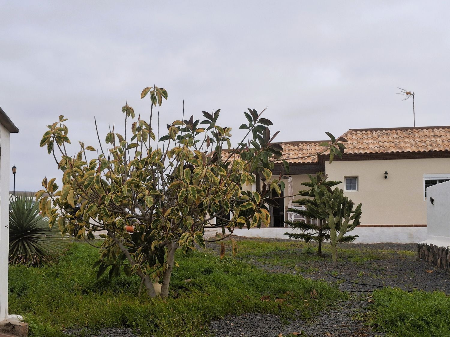 Chalet individual en venta, La Oliva, Las Palmas, Las Palmas