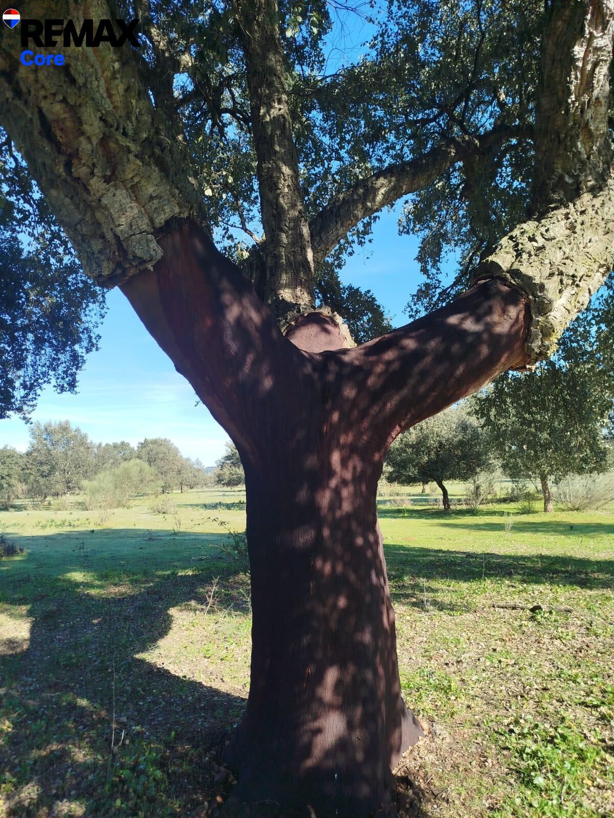 Suelo en venta, La Codosera, Badajoz, Badajoz