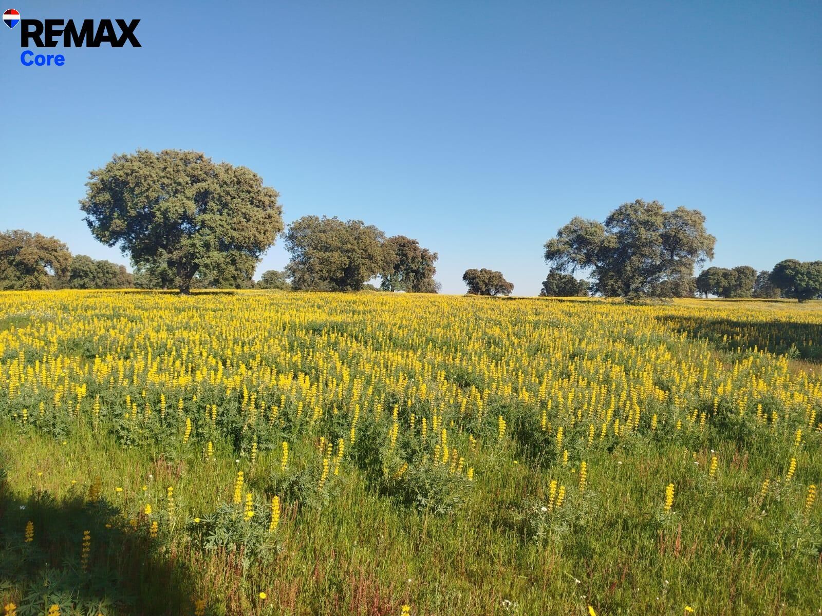 Suelo en venta, La Codosera, Badajoz, Badajoz