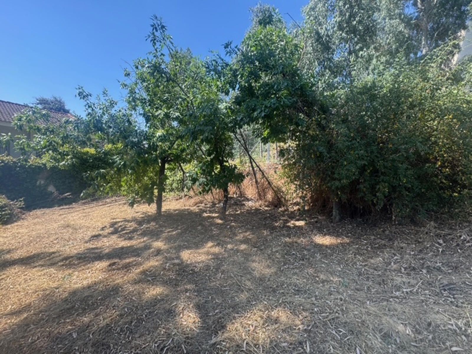 Suelo en venta, Las Rozas de Madrid, Madrid, Madrid