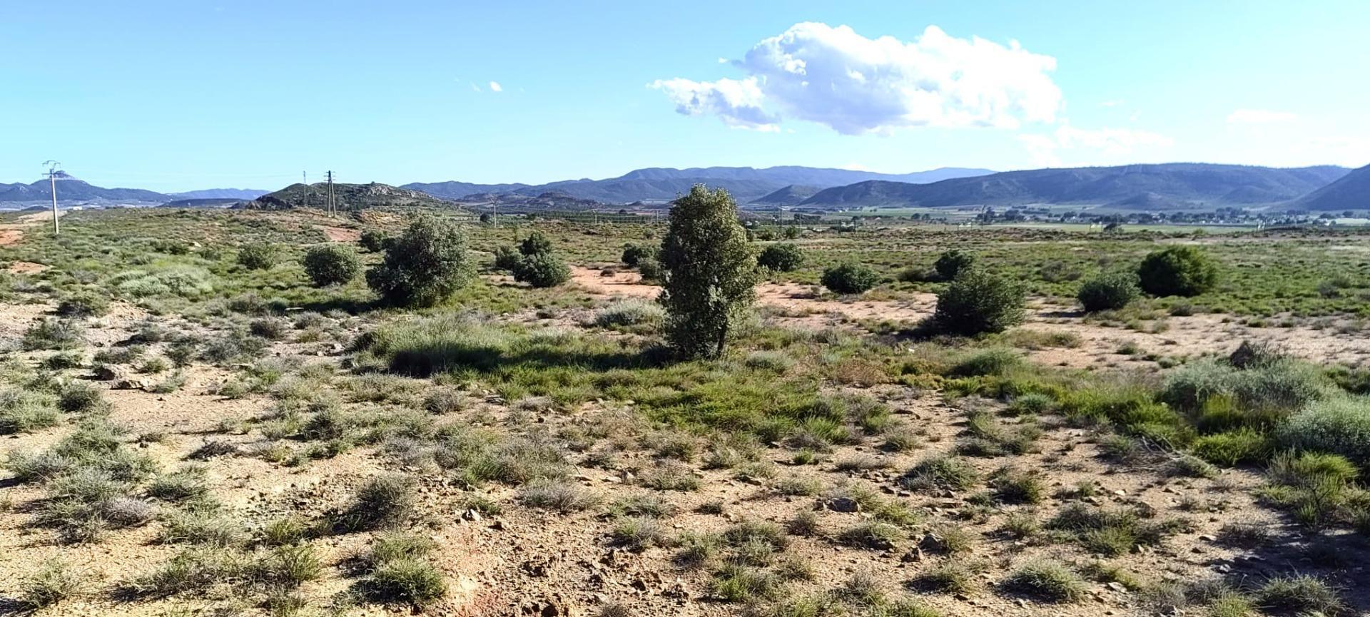 Suelo en venta, Villena, Alicante/Alacant, Alicante/Alacant