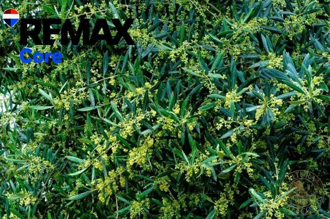Suelo en venta, GÃ©vora, Badajoz, Badajoz