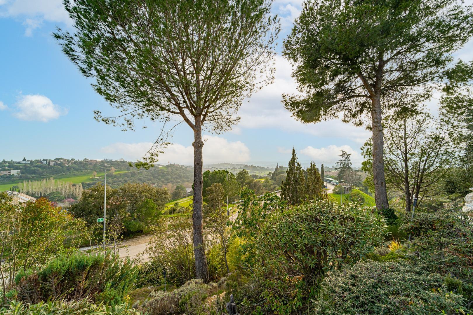 Chalet individual en venta, Las Rozas de Madrid, Madrid, Madrid