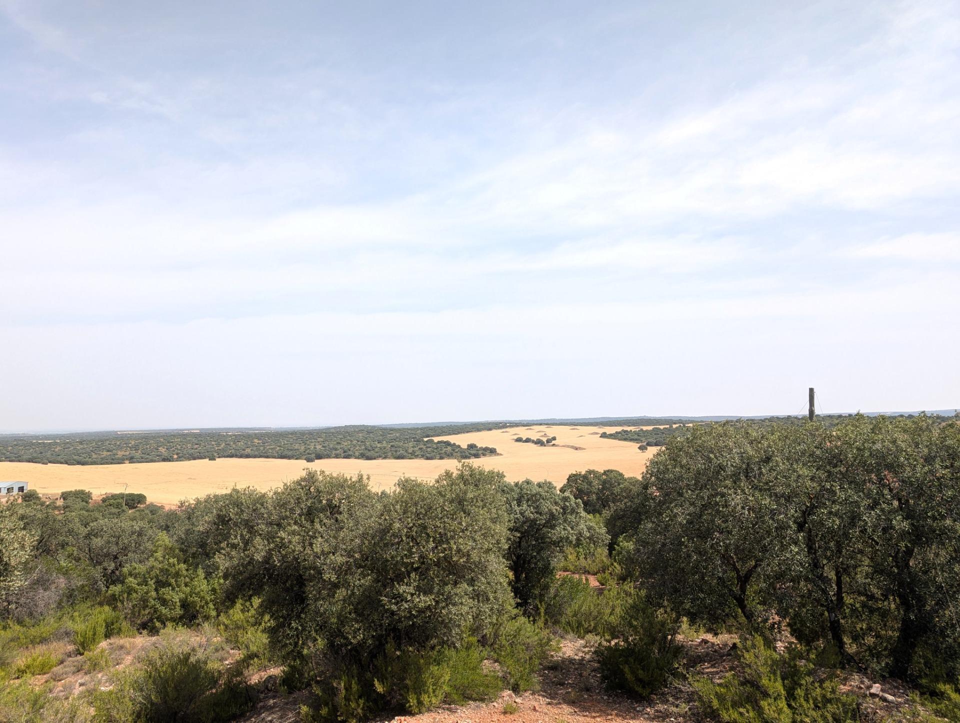 Casa rural en venta, Argamasilla de Alba, Ciudad Real, Ciudad Real