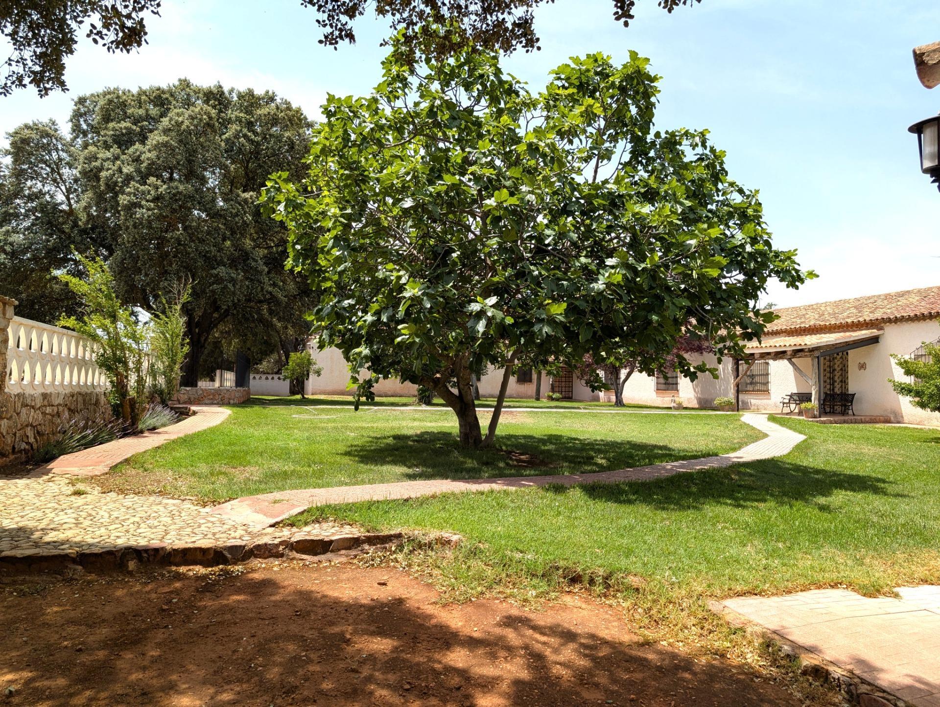 Casa rural en venta, Argamasilla de Alba, Ciudad Real, Ciudad Real