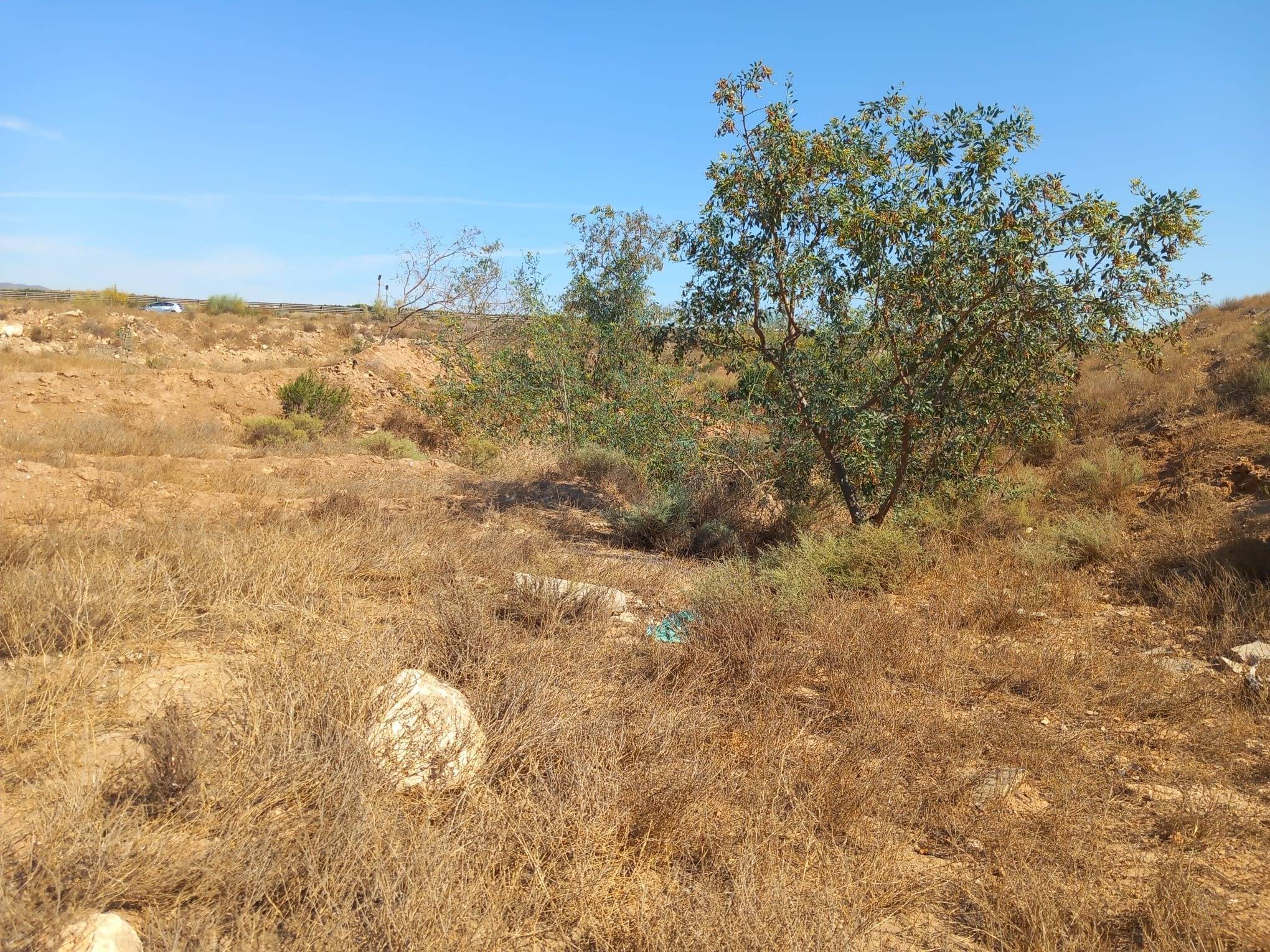 Suelo en venta, Saladar y Leche, AlmerÃ­a, AlmerÃ­a
