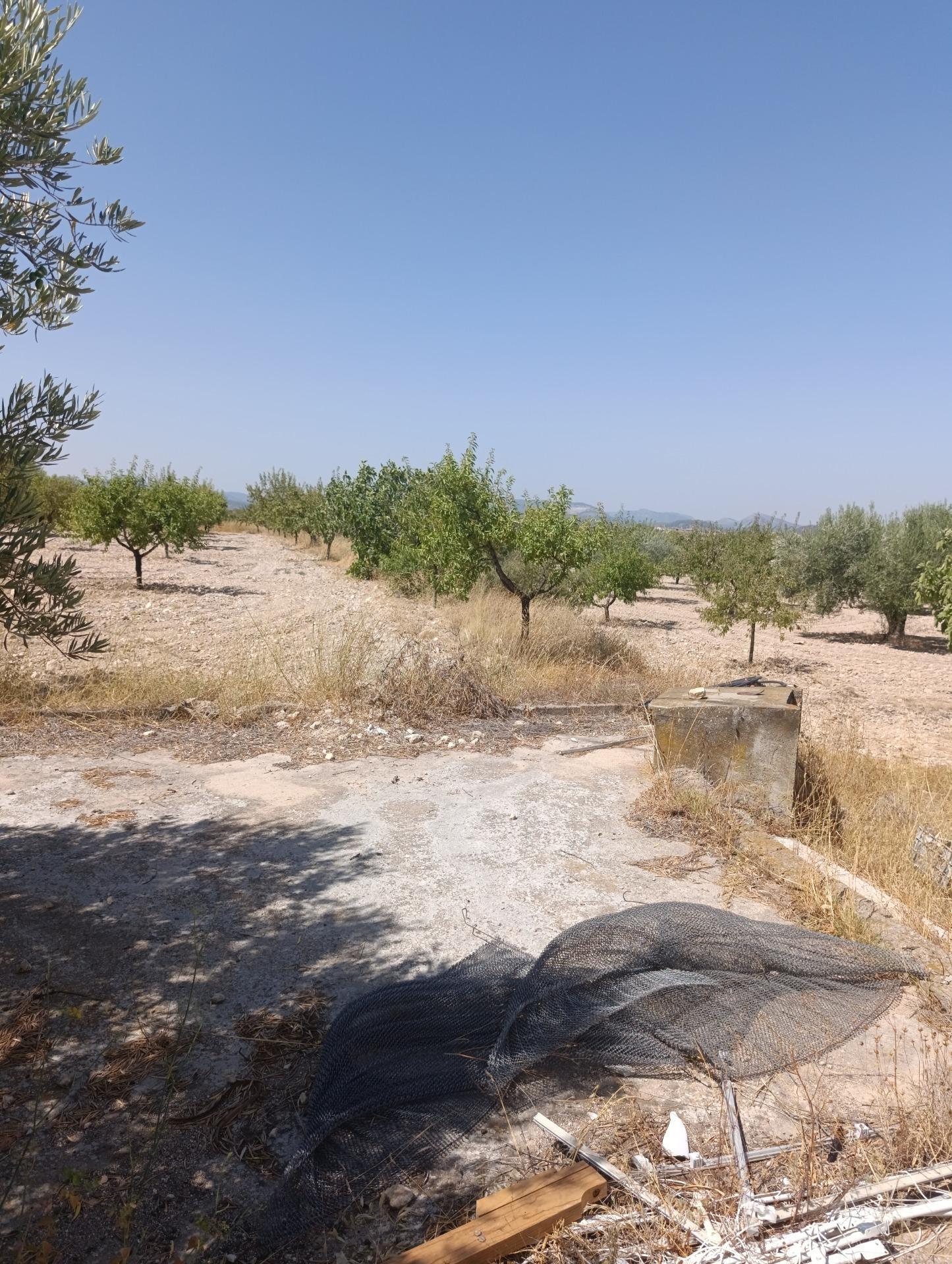 Casa rural en venta, Bullas, Murcia, Murcia