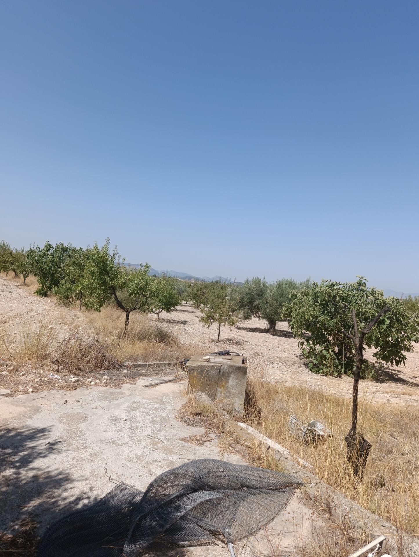 Casa rural en venta, Bullas, Murcia, Murcia