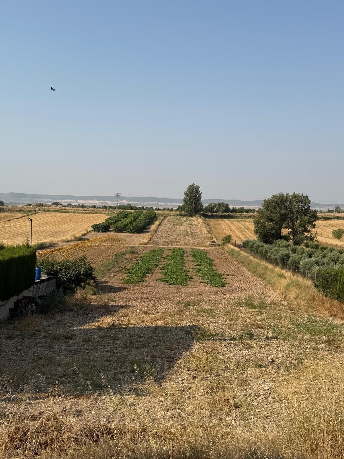 Suelo en venta, Garrapinillos, Zaragoza, Zaragoza