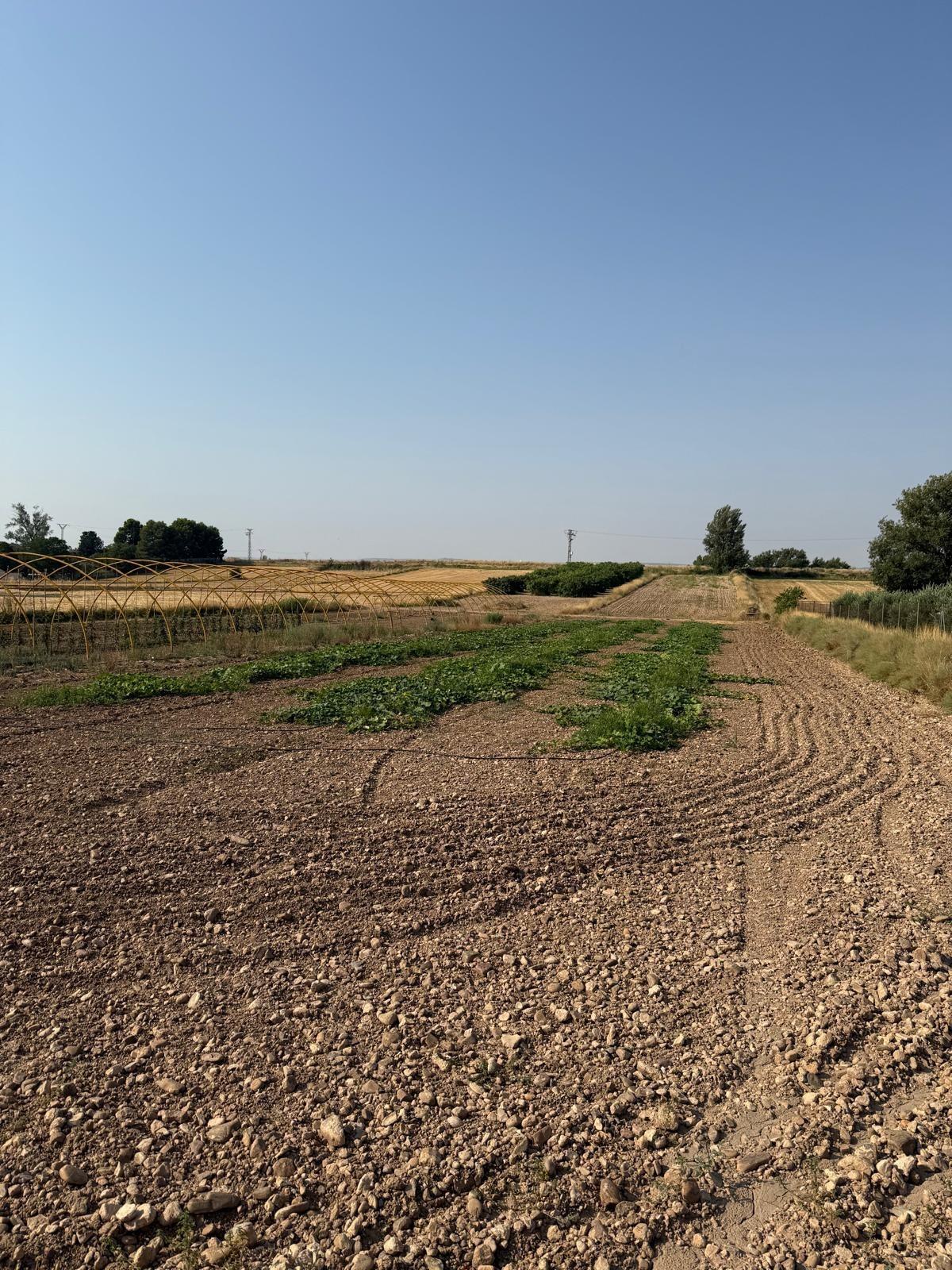Suelo en venta, Garrapinillos, Zaragoza, Zaragoza